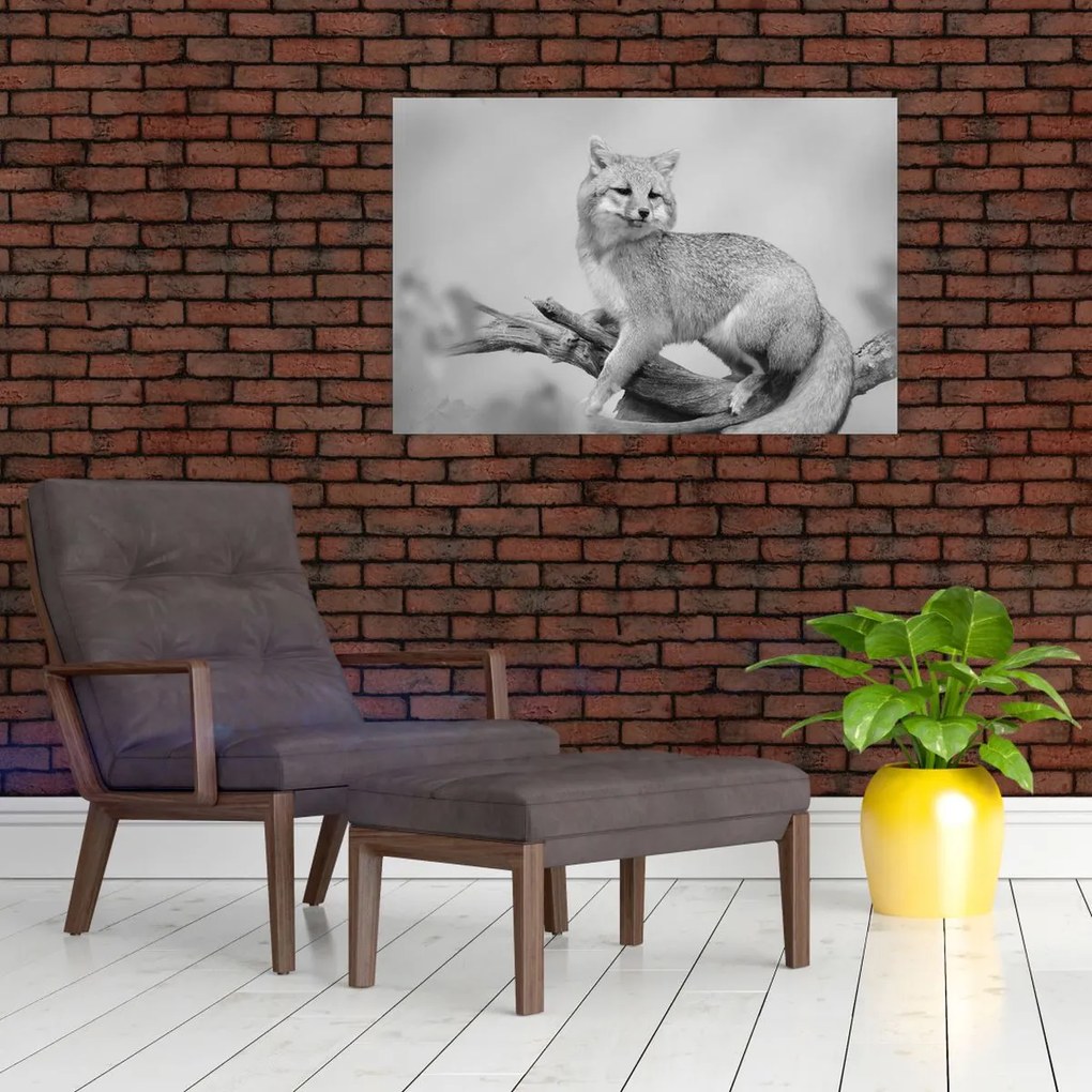 Obraz - Líška šedá (90x60 cm)