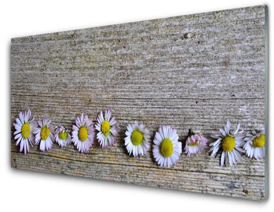 Obraz plexi Sedmokráska rastlina príroda 125x50 cm