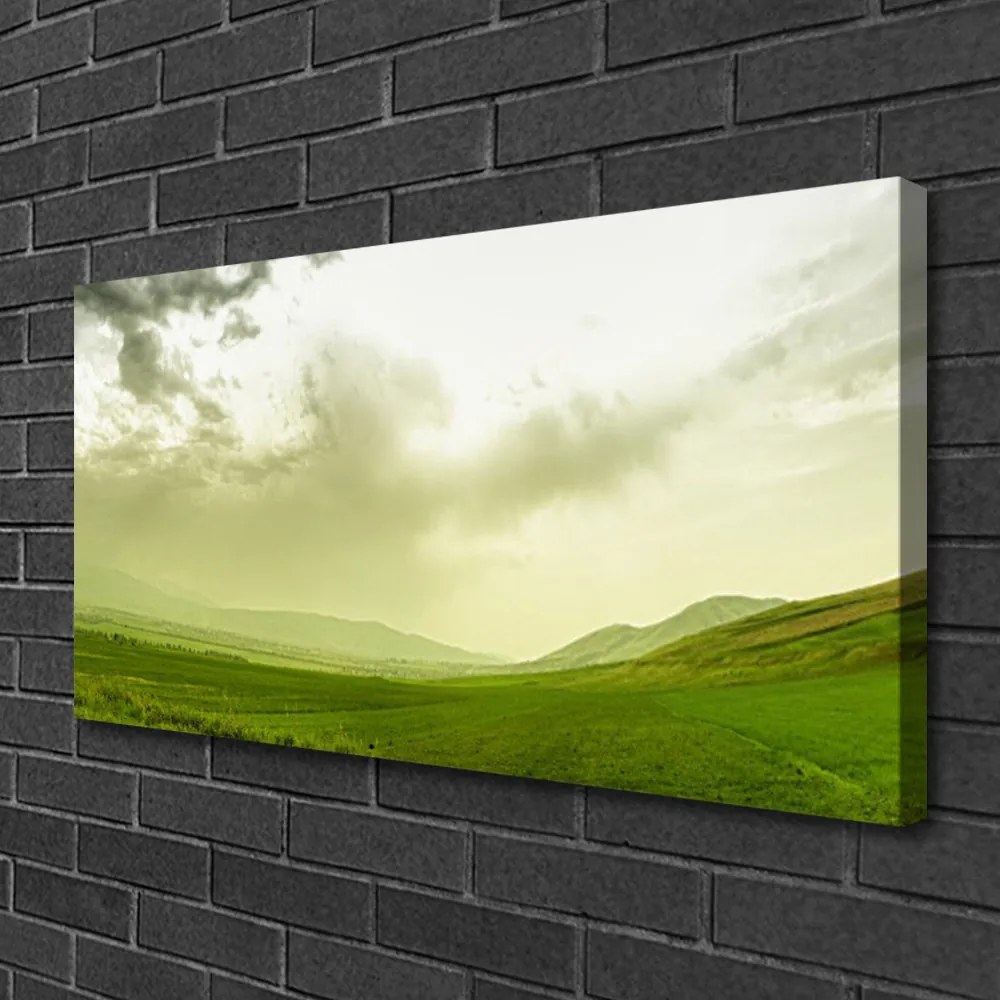 Obraz Canvas Lúka príroda zelený výhľad 140x70 cm