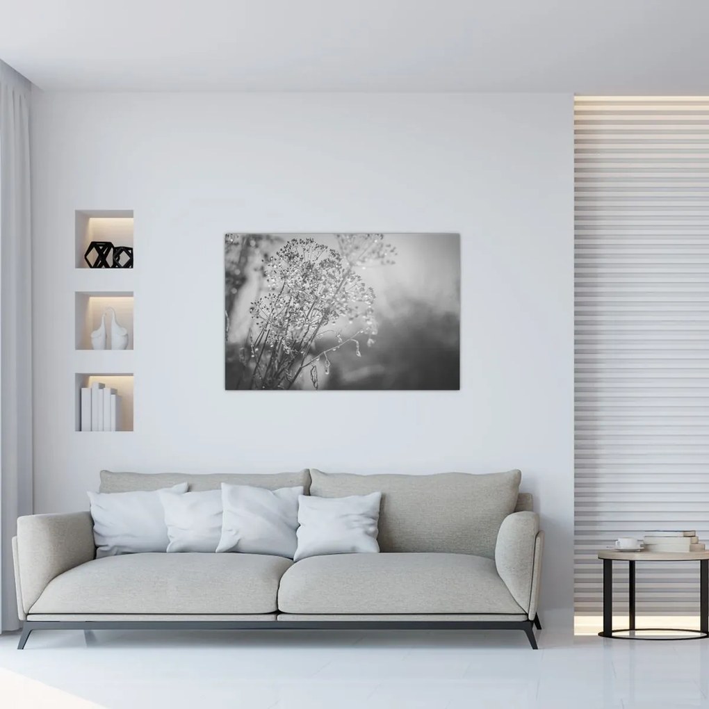 Obraz - Lúka po daždi (90x60 cm)