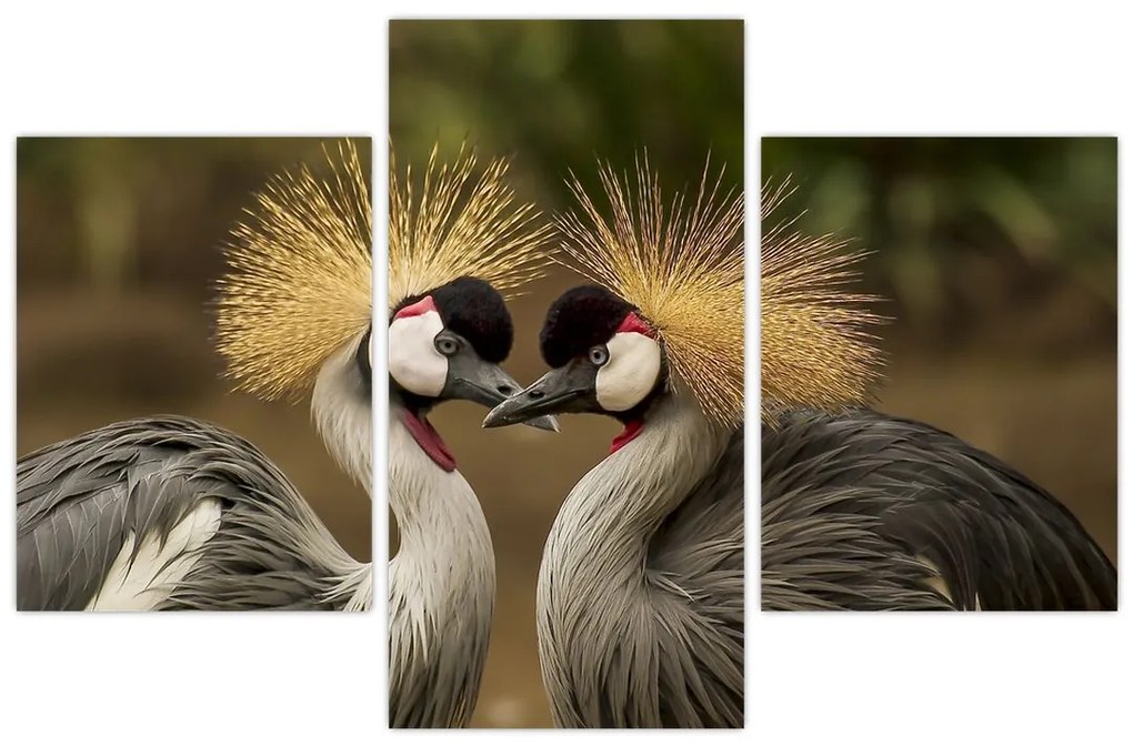 Obraz na stenu - zvieratá