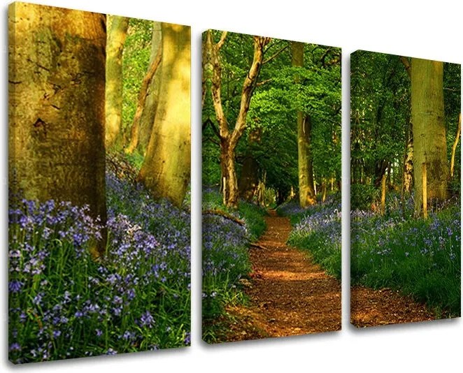 Obraz na stenu STROMY