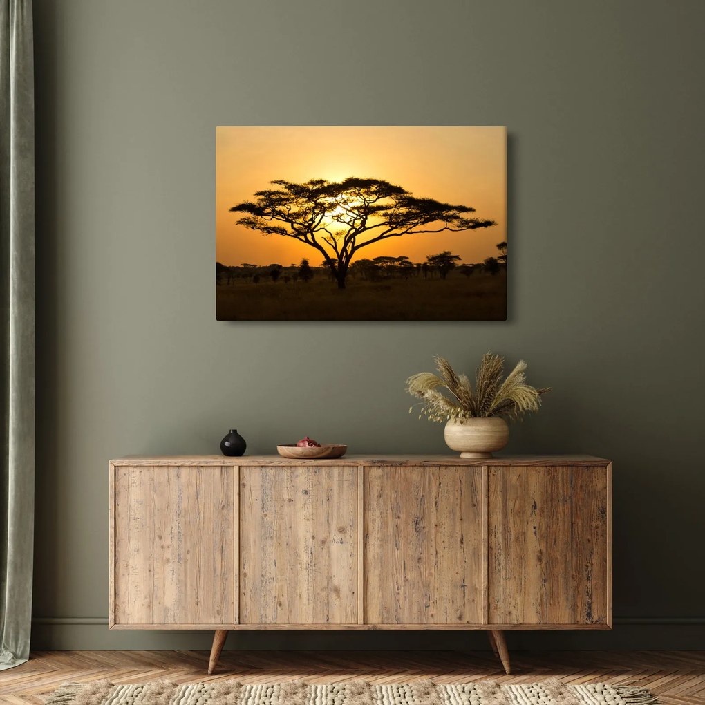 Obraz - Africká savana (90x60 cm)