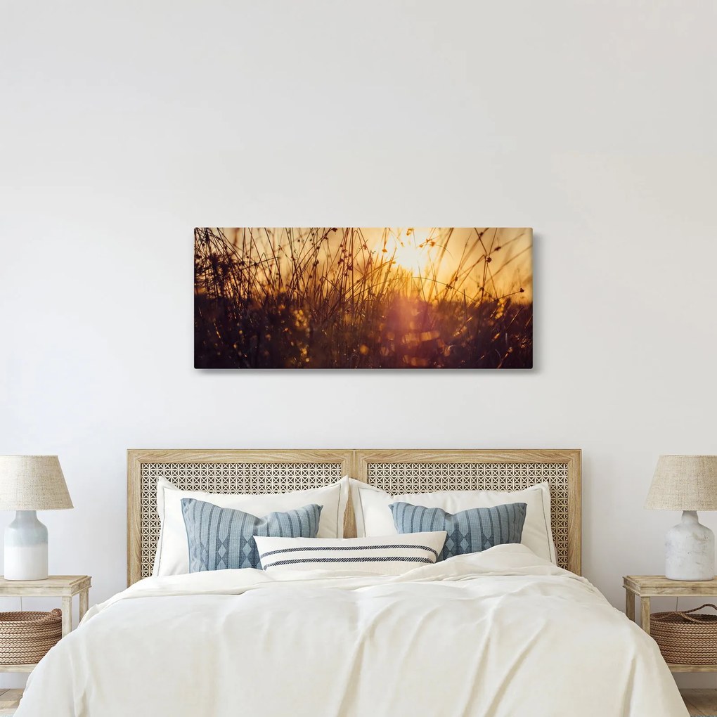 Obraz poľa pri západe slnka (120x50 cm)