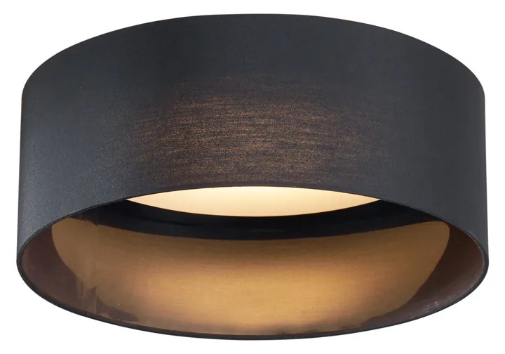 Moderné stropné svietidlo čierne transparentné 40 cm vrátane LED 3-krokové stmievateľné - Sue