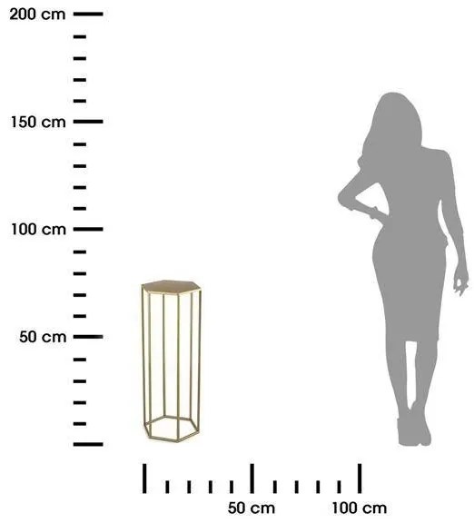 Stojan na kvety 70x24 cm zlatá
