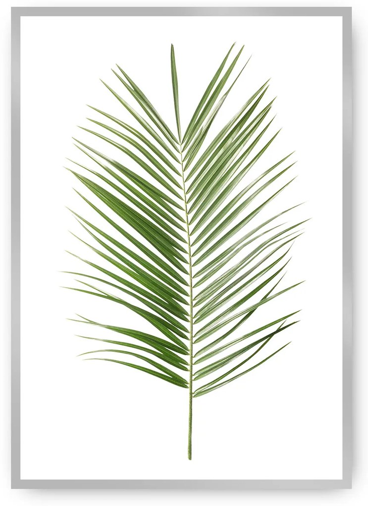 Plagát Palm Leaf Green