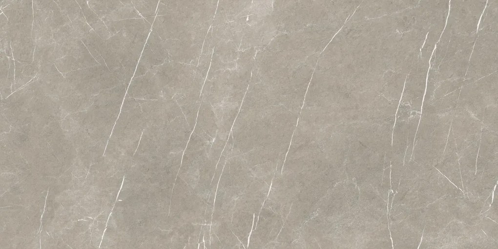 Dlažba Eternal Taupe Natural 80x160 R
