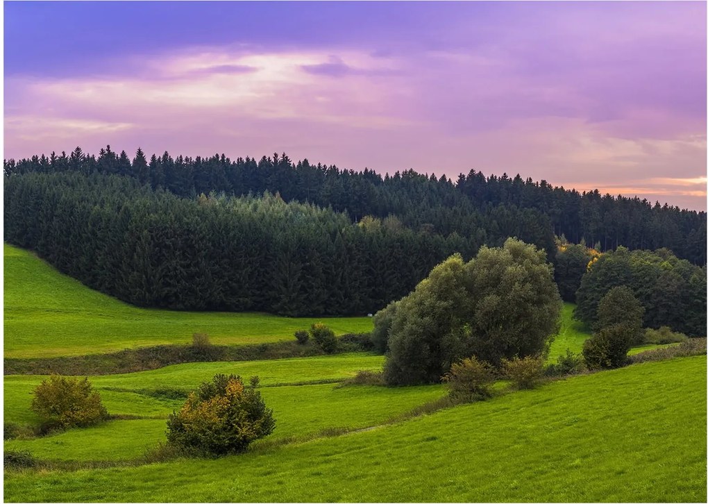 Obraz lúky (70x50 cm)