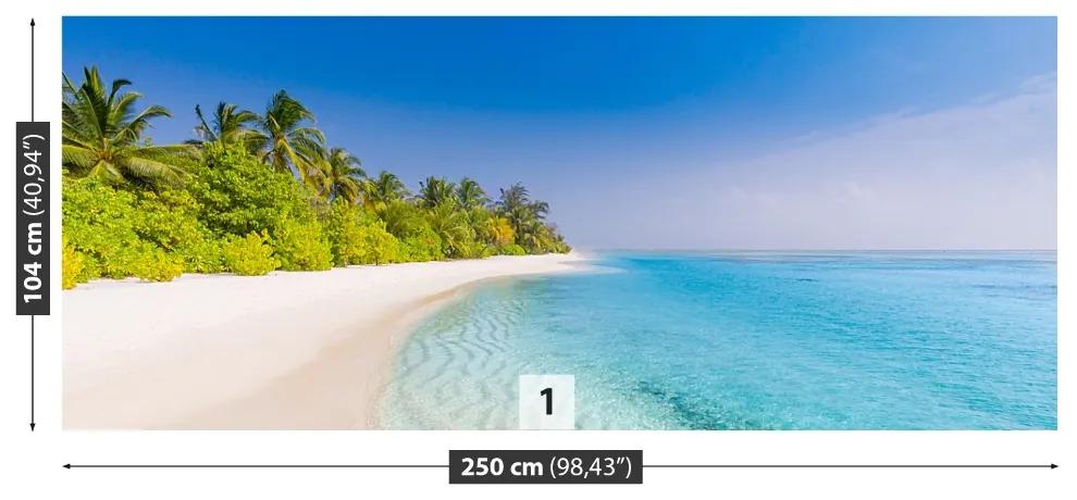 Fototapeta Vliesová Tropická pláž 152x104 cm