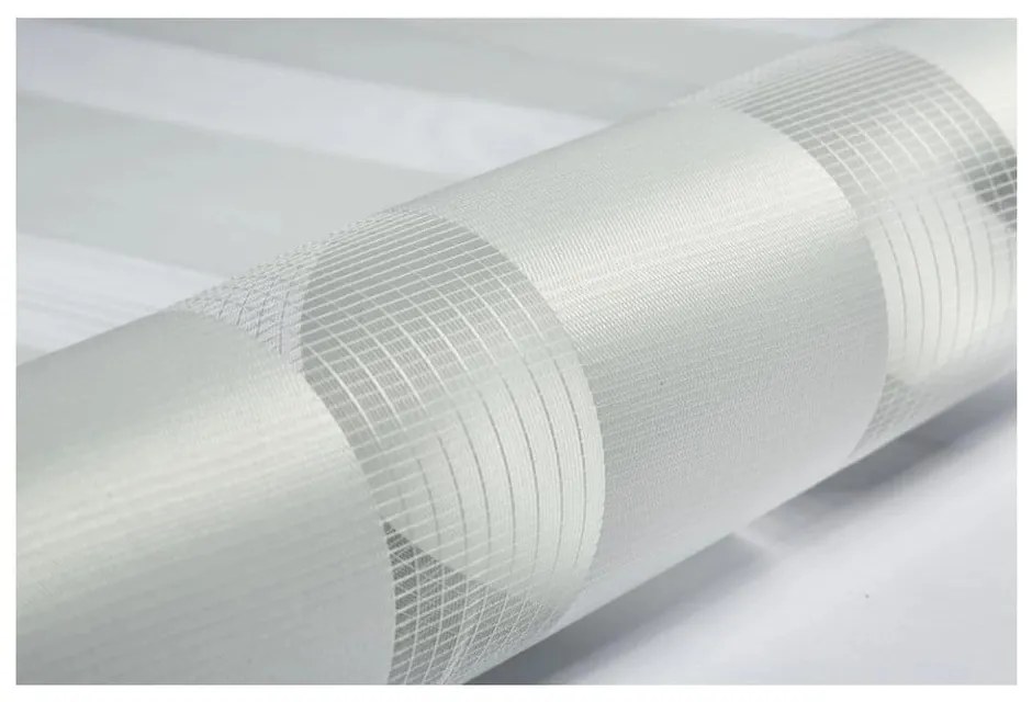 Biela roleta deň a noc 68x215 cm Zebra – Gardinia