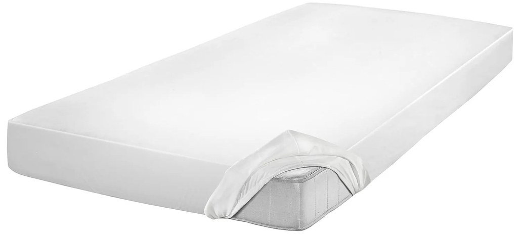 Setex Inkontinenčná ochrana matraca, 2-vrstvová (100 x 200 cm) (100166718)