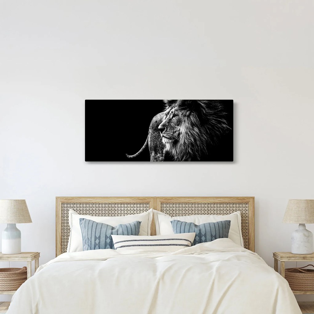 Obraz - Lev (120x50 cm)