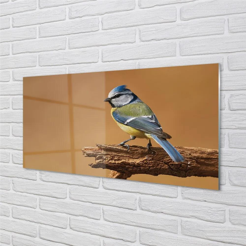 Sklenený obraz Vták 125x50 cm