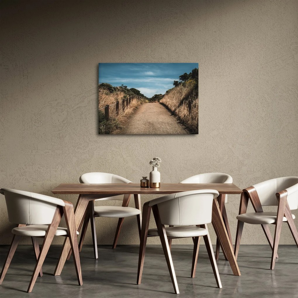 Obraz - Na chodníku (70x50 cm)