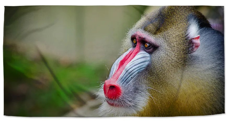 Sablio Uterák Mandril - 50x100 cm