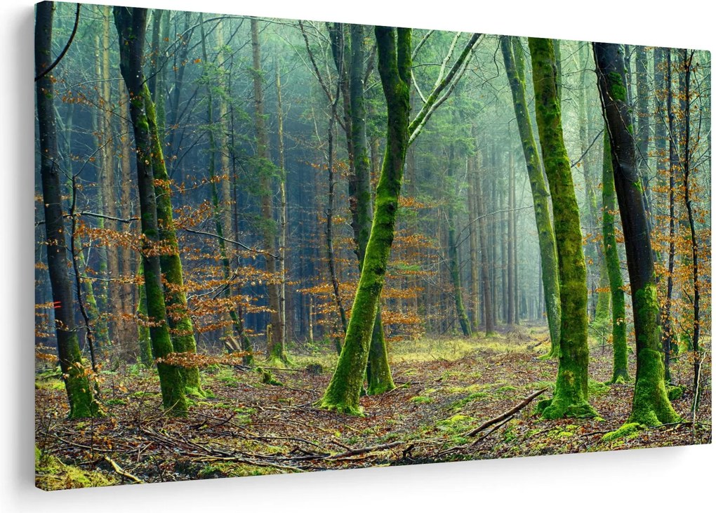 Obraz lesa (90x60 cm)