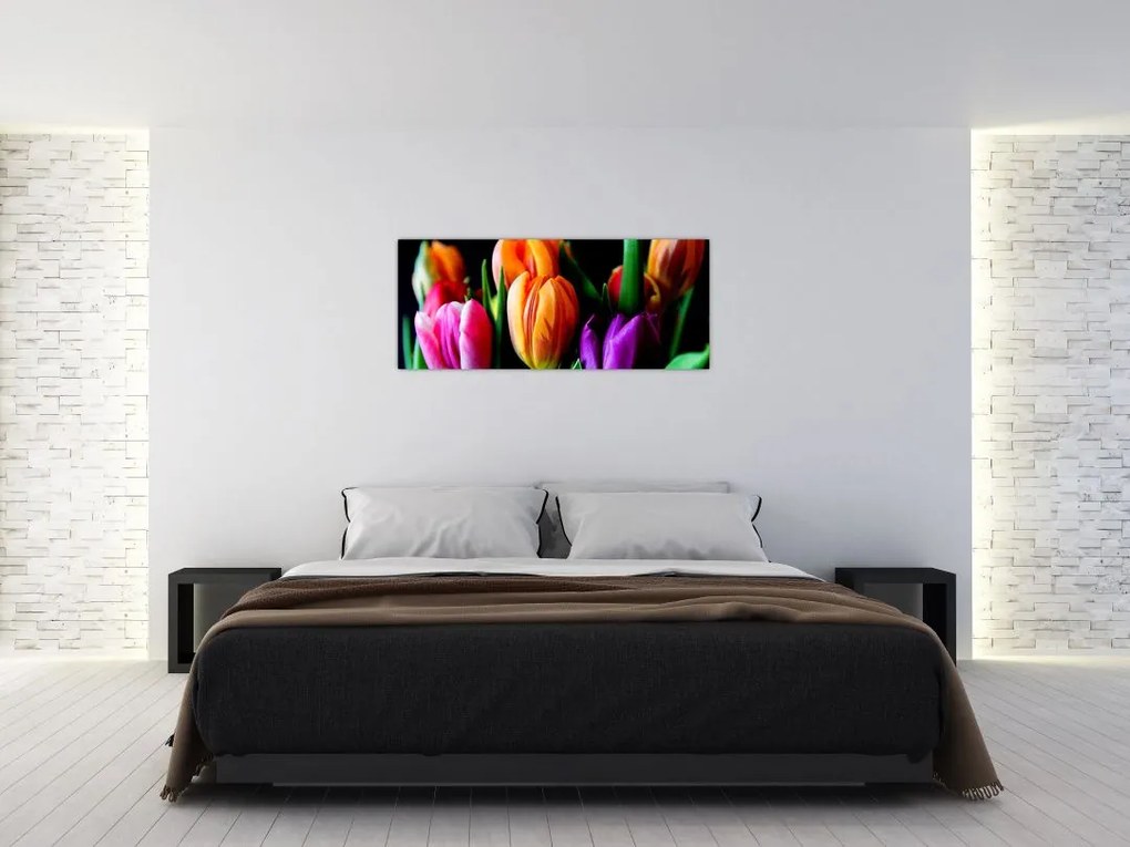 Obraz tulipánov na čiernom pozadí (120x50 cm)