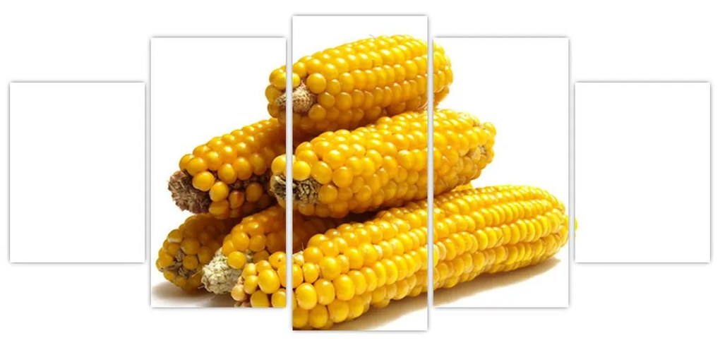 Kukurica, obraz