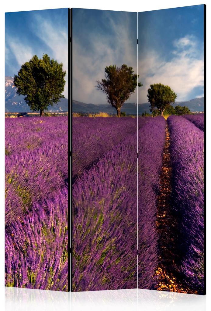Artgeist Paraván - Lavender field in Provence, France [Room Dividers]