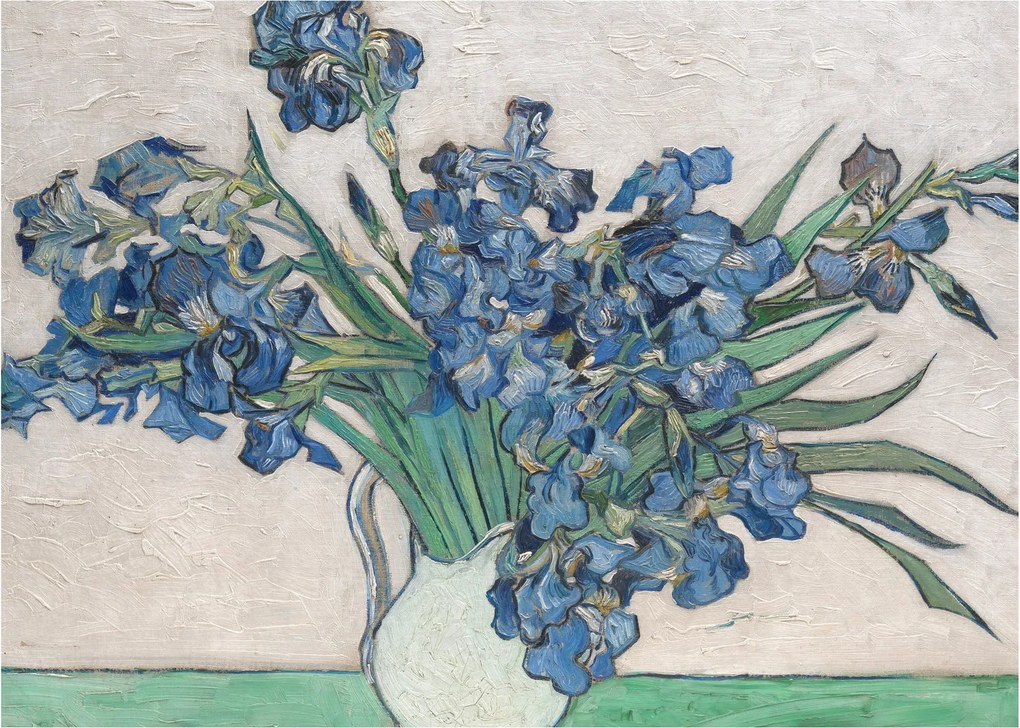 Obraz - Vincent van Gogh, Irises, reprodukcia (70x50 cm)