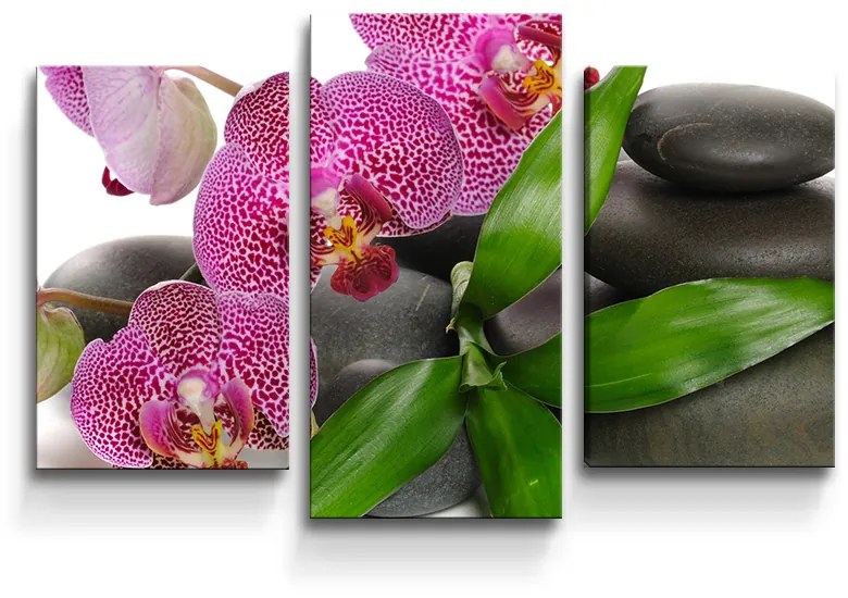 Sablio Obraz - 3-dílný Orchidey a kamene - 75x50 cm
