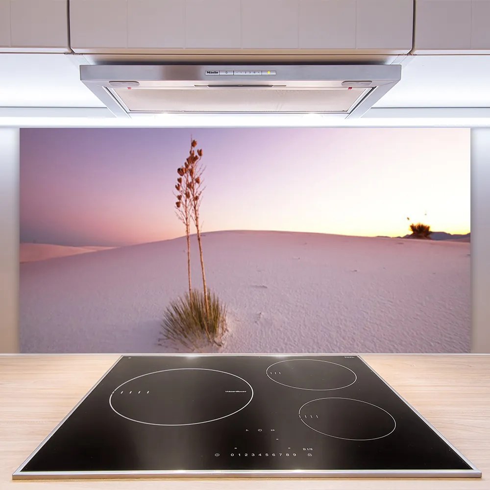 Sklenený obklad Do kuchyne Púšť písek krajina 120x60 cm