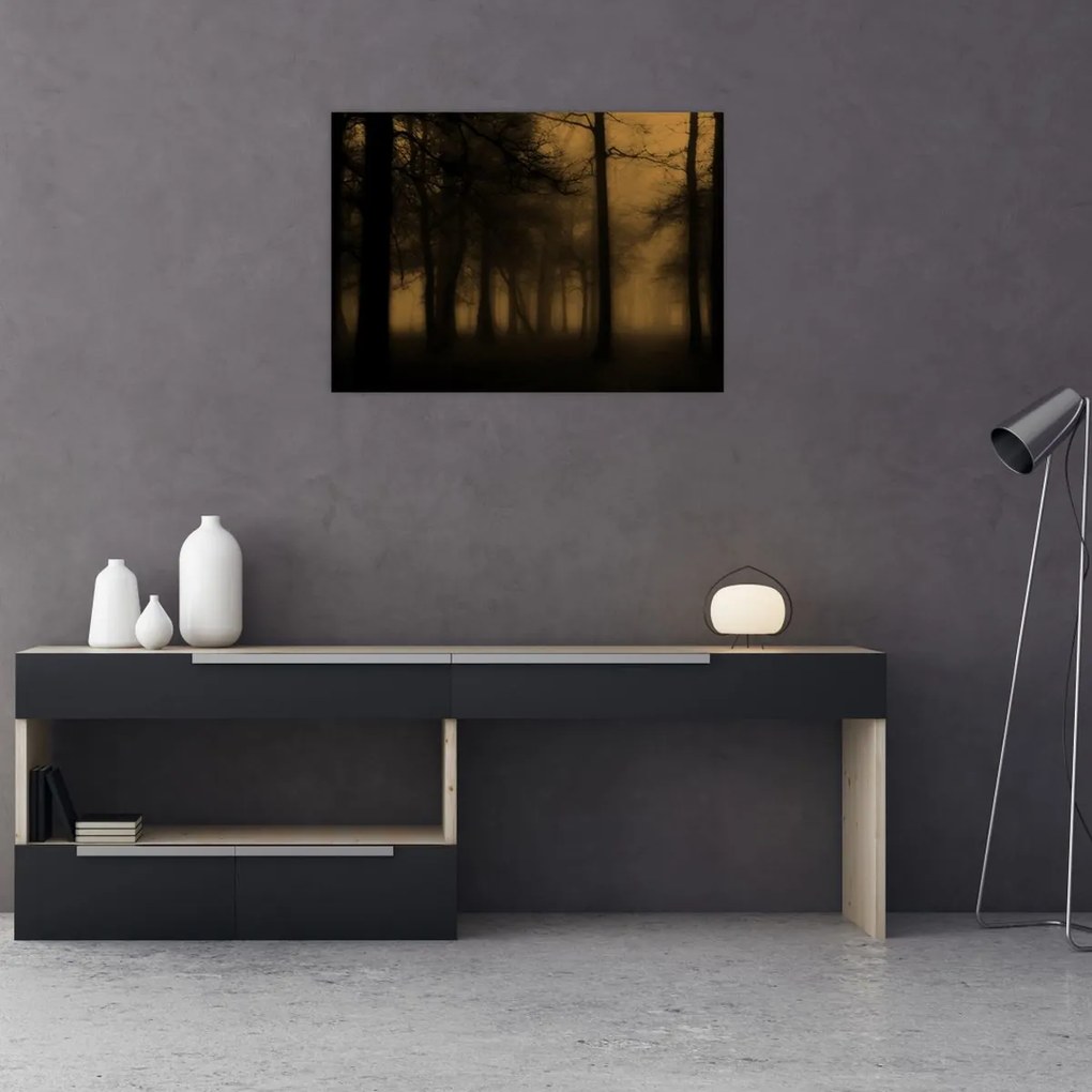 Obraz - Temný les (70x50 cm)