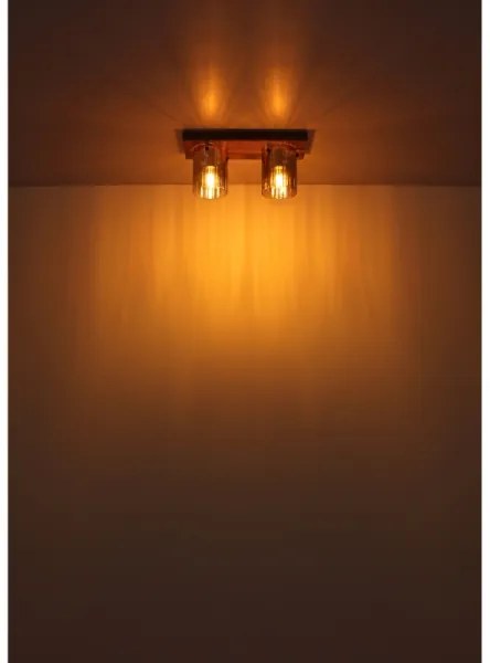 Globo 15915-2 - Stropné svietidlo UNDERWOOD 2xE27/40W/230V 16x41 cm