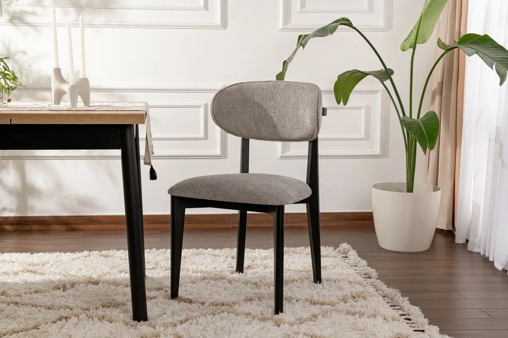 Sada jedálenských stoličiek Lionte Grey and Black,2 ks