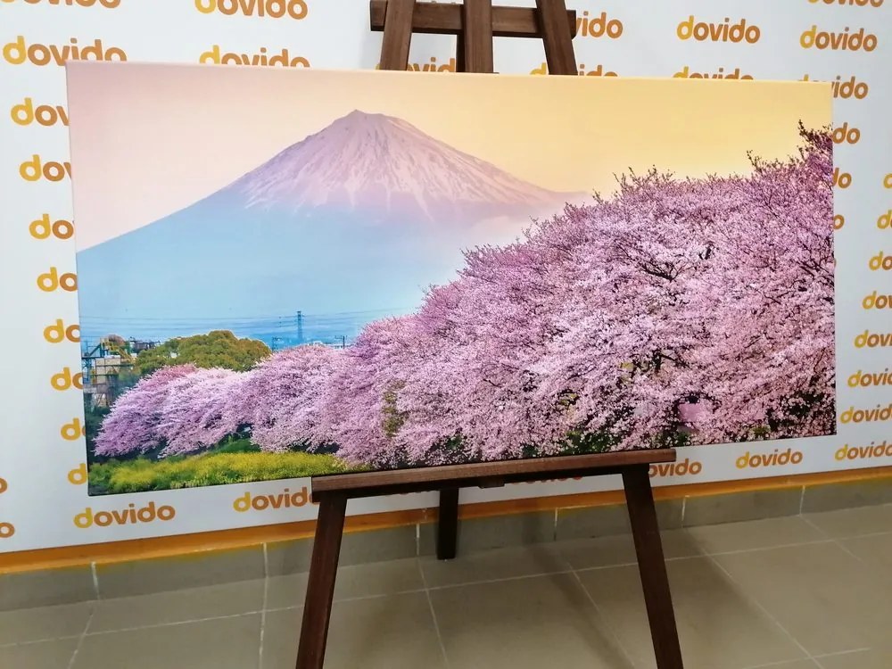 Obraz romantický pohľad na Japonsko