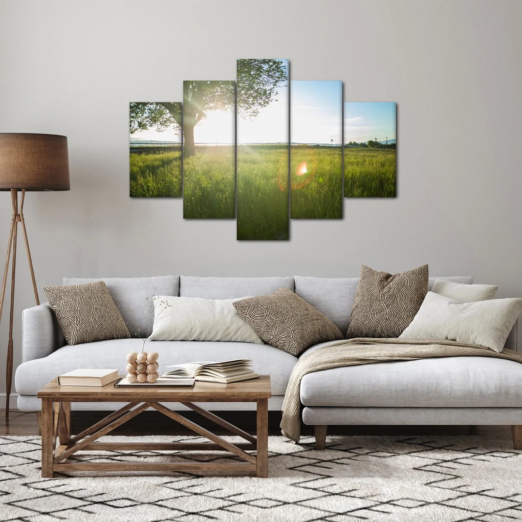 Obraz stromu v poli (150x105 cm)