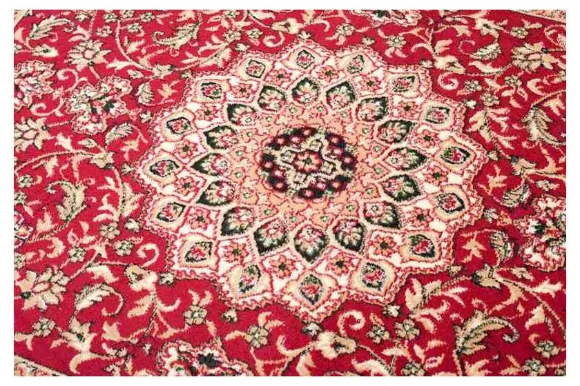Kusový koberec PP Ezra červený 250x300cm