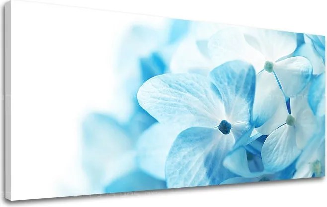 Obraz na stenu Panoráma KVETY XOBKV127E13 - 50x100 cm