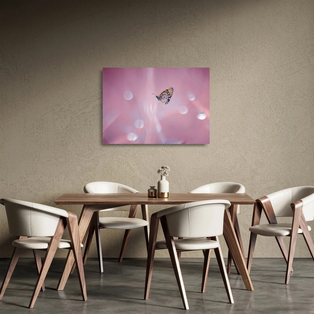 Sklenený obraz - Motýľ (70x50 cm)