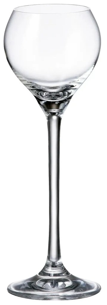 Crystalite Bohemia poháre na likér Carduelis 80 ml 6KS