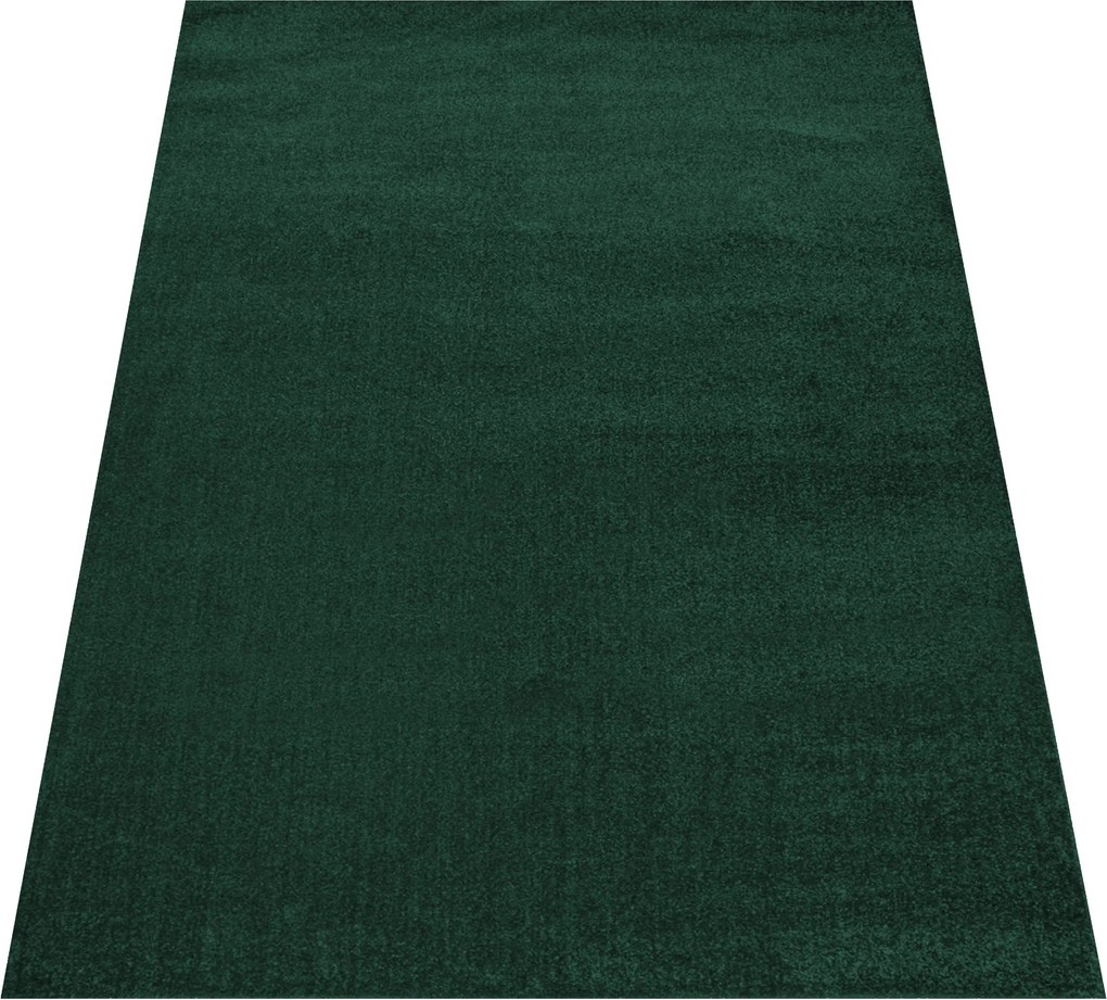 DY Zelený jednofarebný koberec Otto Rozmer: 200x290 cm