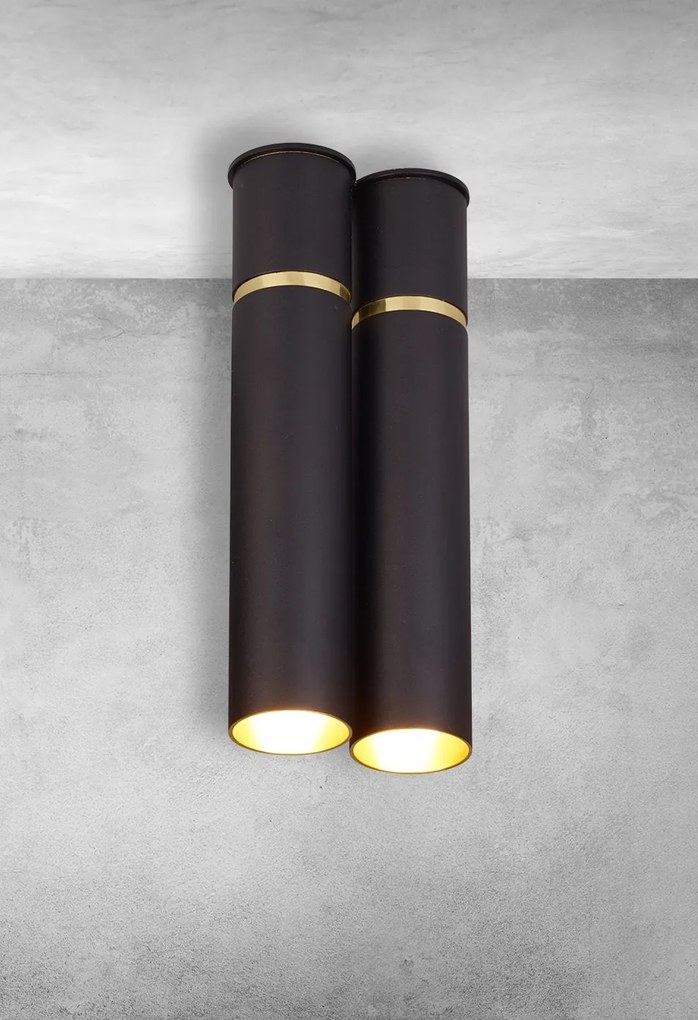 Stropné svietidlo Lynx, 2x zlaté/čierne kovové tienidlo