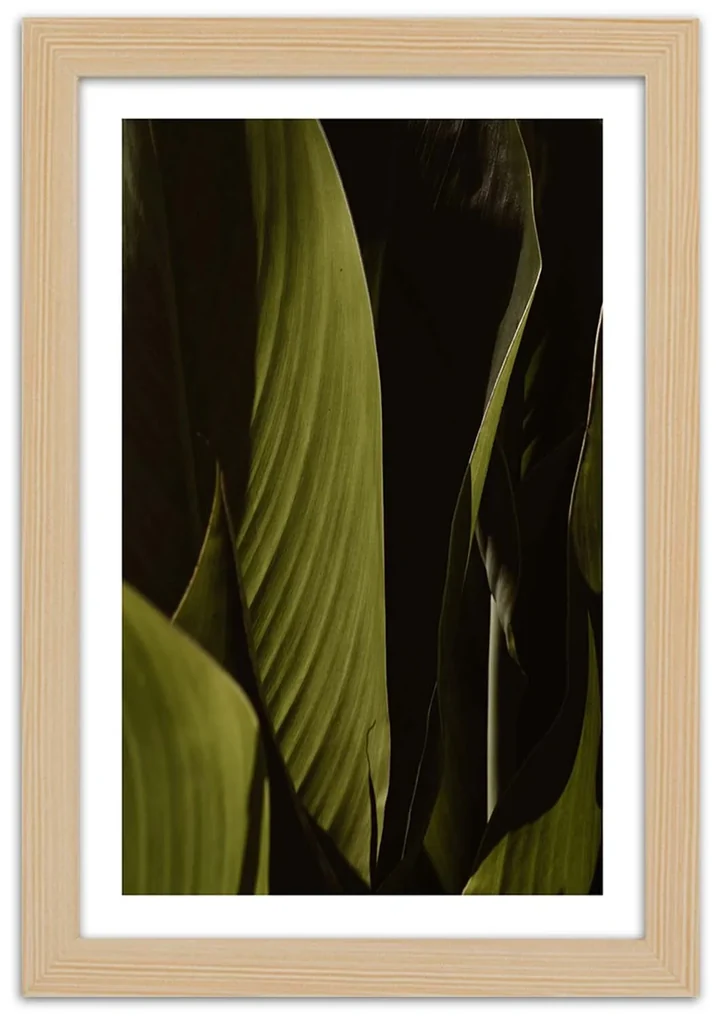 Gario Plagát Zelené listy trópov Farba rámu: Bez rámu, Rozmery: 40 x 60 cm