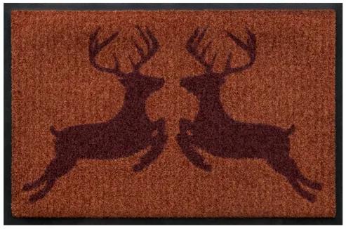 Premium rohožka- zvieratá - jelene (Vyberte veľkosť: 85*55 cm)