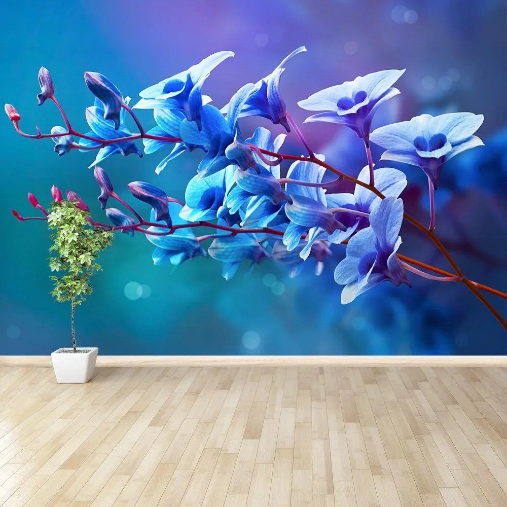 Fototapeta Vliesová Modrá orchidea 208x146 cm