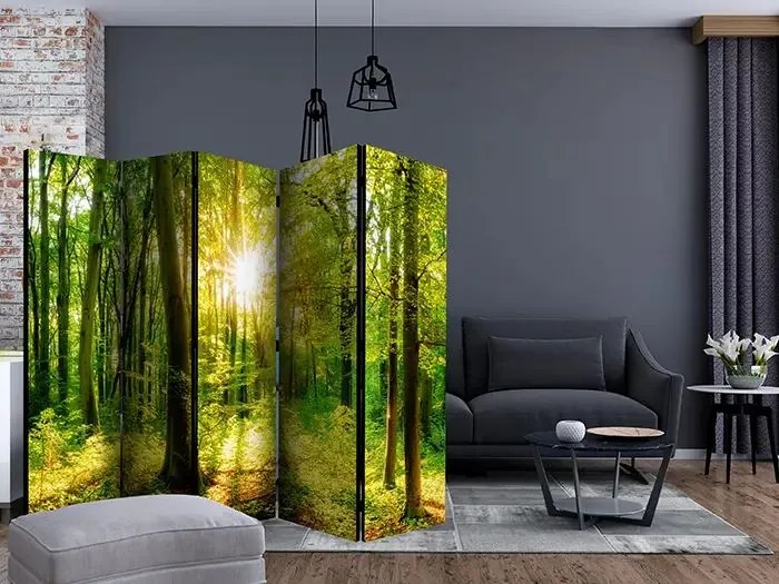 Paraván - Forest Rays II [Room Dividers] Veľkosť: 225x172, Verzia: Akustický