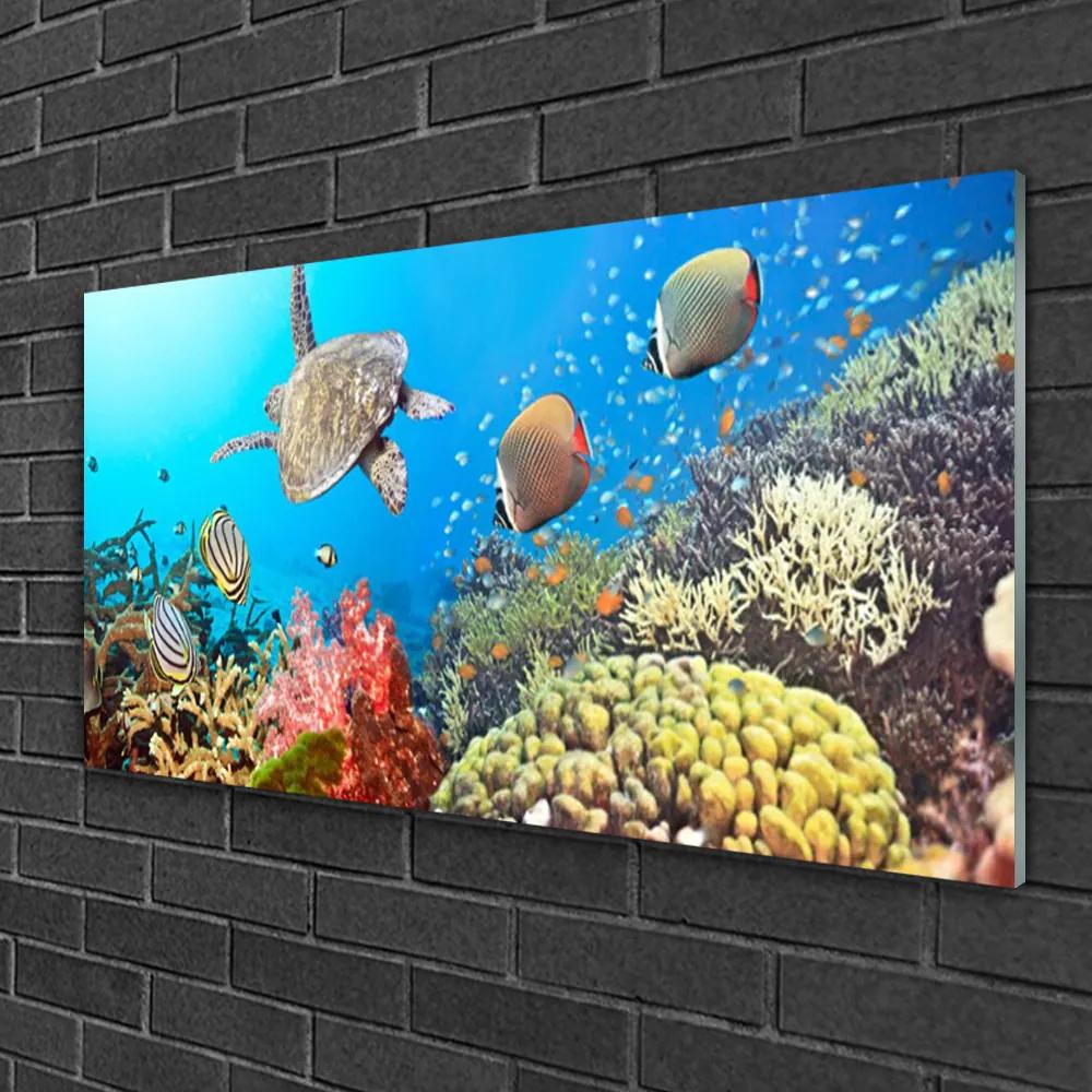 Obraz na skle Koralový útes krajina 120x60 cm