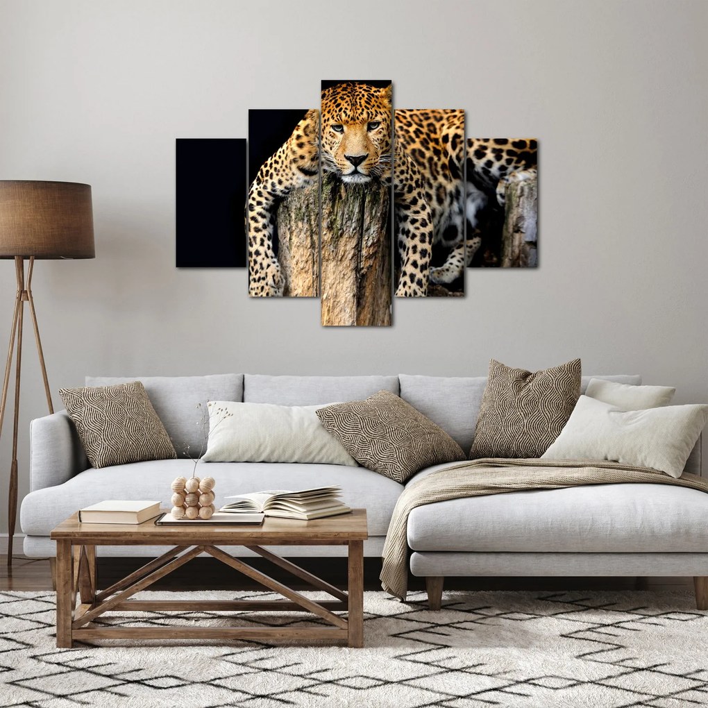 Obraz - Gepard (150x105 cm)