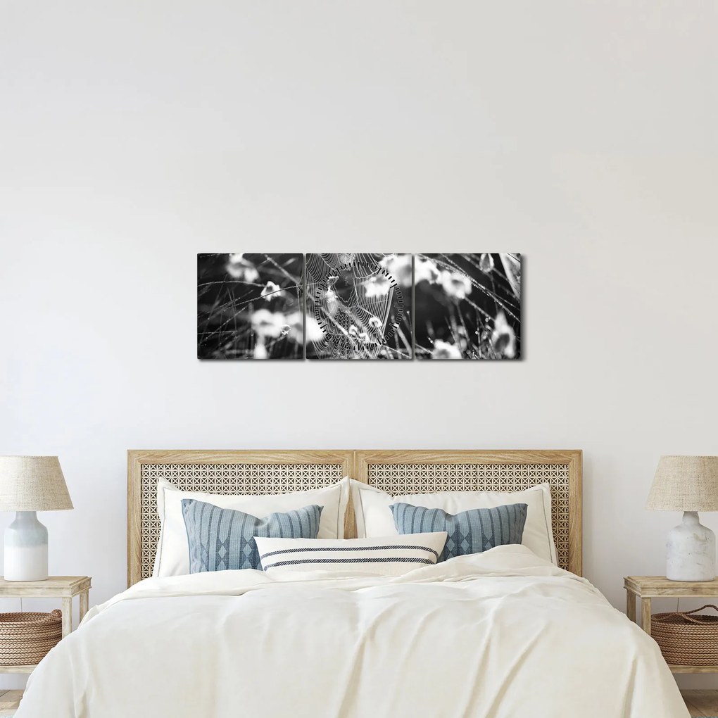 Obraz - Pavučina na lúke (s hodinami) (90x30 cm)