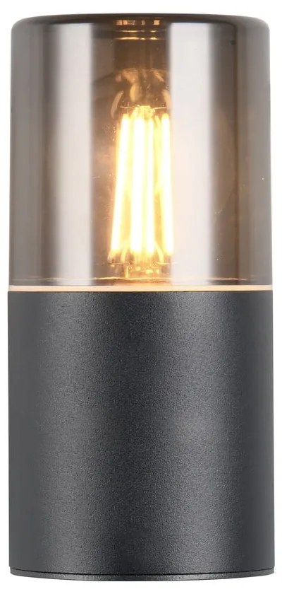 Vonkajšie svietidlo (výška 17,5 cm) Hoosic – Trio