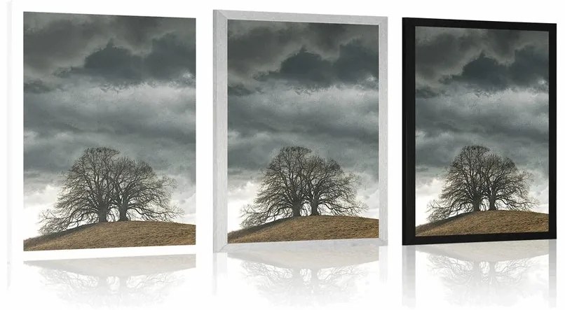 Plagát osamelé stromy - 40x60 white