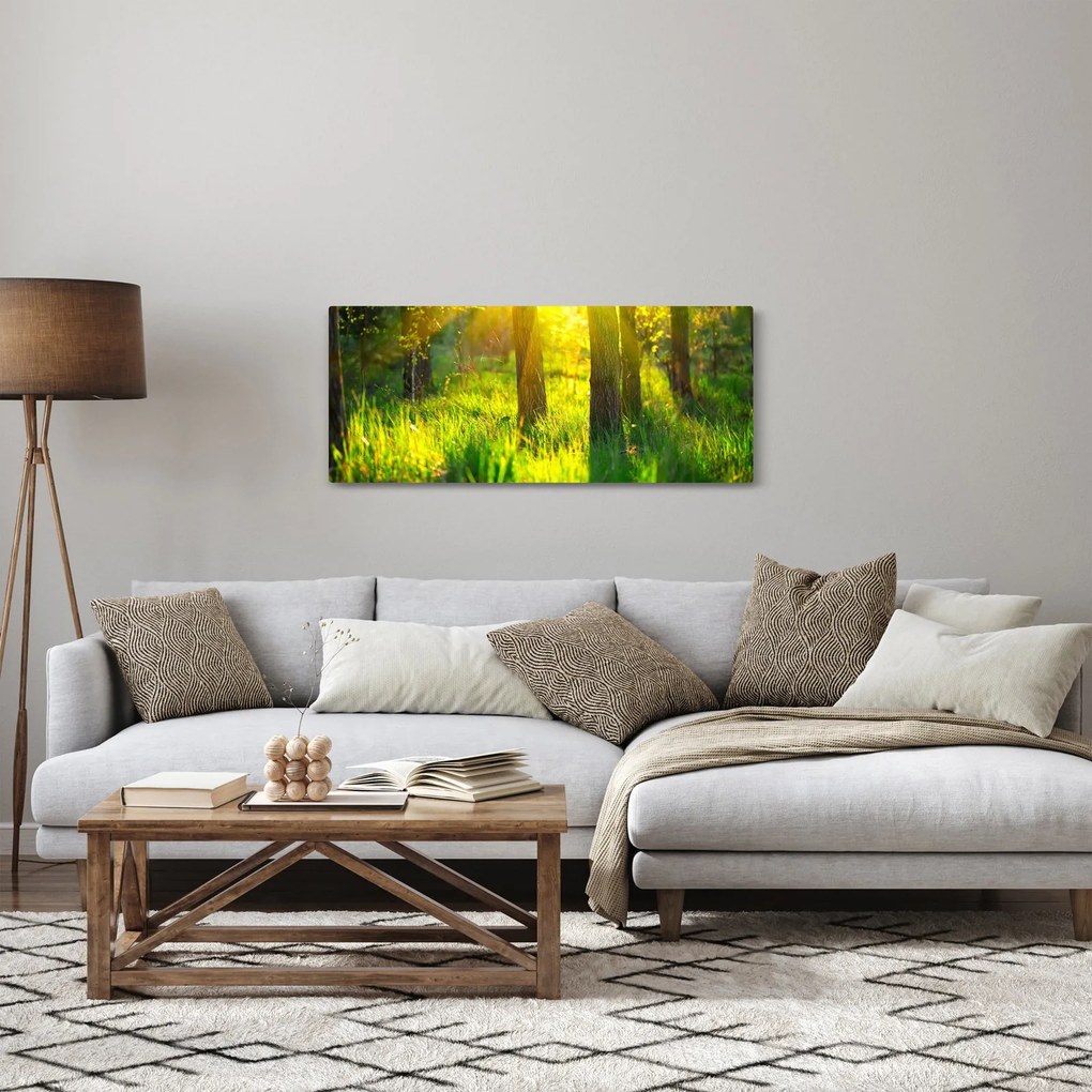 Obraz - Jarné prebúdzanie lesa (120x50 cm)