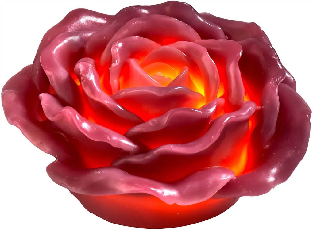 LED ruža 2v1