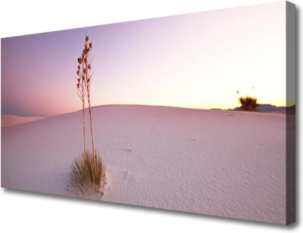 Obraz Canvas Púšť Písek Krajina